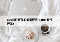 app软件开发的前景好吗（app 软件 开发）