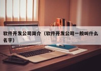 软件开发公司简介（软件开发公司一般叫什么名字）